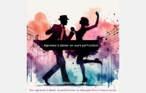 Cours particuliers de danses latines 56 Lanester